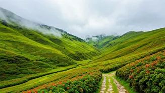 Escape the Crowds: Discover South India's 7 Enchanting Hill Station Havens