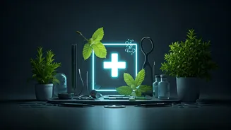 Everyday Health: Empowering Your Wellness Journey with Trusted, Expert-Backed Information