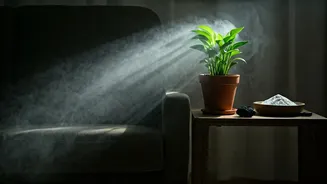 These Natural Home Hacks Actually Work In The Rains