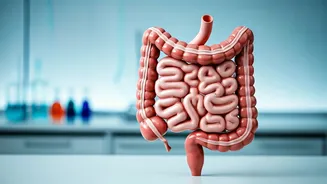 Thrive This Diwali: Gut Health Tips Inside!