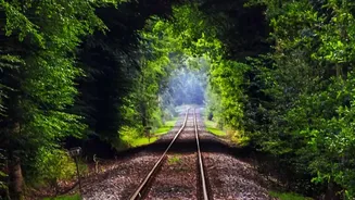 How Travellers Choose Scenic Vista-Dome Rail Journeys Along Konkan Coast For Independence Day