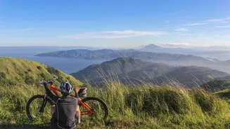 Cycling v/s dancing: Which is better for your heart?