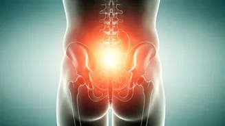 Back Pain vs. Kidney Pain: A Doctor's Guide to Spotting the Difference
