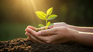 The Power of Small Wins: How Couples Can Nurture Love Through Daily Recognition