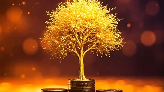 How Step Up Mutual Fund Investments Leverage Salary Growth To Double Portfolio Value