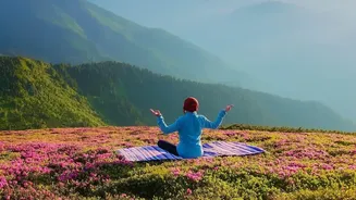 Neelakurinji bloom arrives in Munnar
