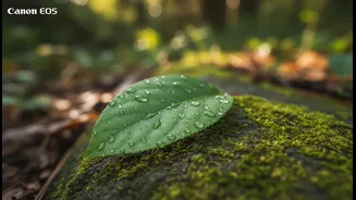 A Literary Journal Is Not Required to Start Nature Journalling