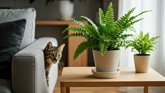 Ferns Are The Gentle Greenery Pet Homes Need