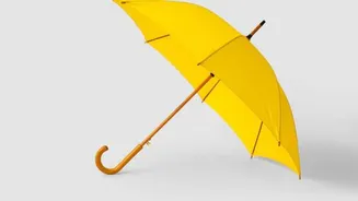 How to choose a long-lasting umbrella