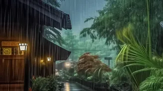 India's El Niño Monsoon Risk Explained: Why Rainfall Distribution, the Indian Ocean and Crop Timing Matter