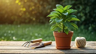 Outdated Gardening Wisdom: 6 Practices to Ditch for a Healthier Garden