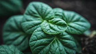 Related Stories banner