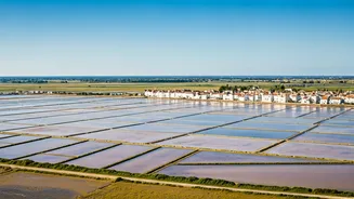 Île de Ré: Your Ultimate Guide to France's Charming Atlantic Gem