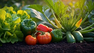 Summer Veggies Are The Beginner-Friendly Garden Move