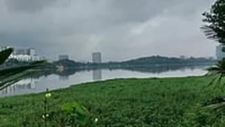 Mumbai News: Powai Lake Weed Crisis More Complex Than Thought, Says ICAR