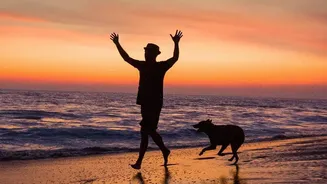 Why Monsoon Pet Care Begins Before You Step Outside For A Walk