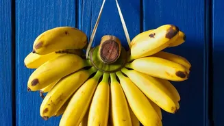 Banana Ripening Can Be Managed With Smarter Fruit Placement