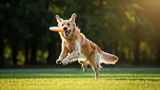 ASPCA's List Is Going Viral For Good Reason