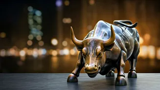 Stock Market Optimism: Experts Weigh In