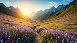 Eco-Conscious Adventurers Head To Breathtaking Valley Of Flowers Trekking