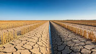 Monsoon Winds Temporarily Pause Journey Leaving Central Plains Dry