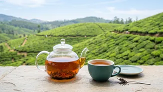 What Revised Safety Parameters Mean For Tea Plantation Pesticide Application Rules