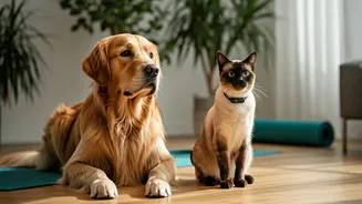 Gen Z Treats Pet Care As Serious Health And Lifestyle Practice