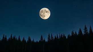 Stargazing Alert: Wolf Moon Supermoon & Upcoming Celestial Events