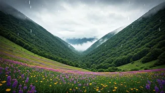 India's Secret Rain Destinations Feel Like Heaven