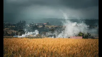 India Proposes 'Red Category' Tag to Curb Stubble Burning