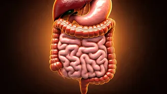 Your Morning Chai Ritual: What Happens to Your Body After a Month on an Empty Stomach?