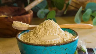How Upcycled Jackfruit Seed Flour Delivers Fiber And Protein To Modern Kitchens
