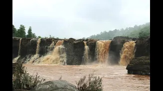 Heavy Rainfall in Gujarat: Red Alert Issued for Six Districts