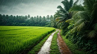 Rain Turns Goa Into A Quiet Travel Mood
