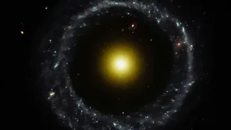 Webb Maps Gas and Dust around NGC 2392 Centred on a Hot White Dwarf