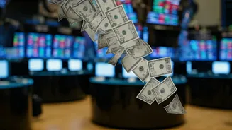 Indian Market Downturn: Why the Drop?