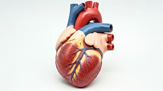Wellness: These 5 Biomarkers Predict Longevity