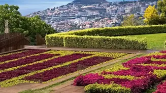 Why Native Plants Belong In Every City Garden