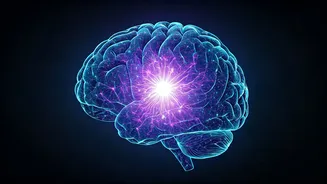 Meta Makes Brain2Qwerty Training Code Public For Researchers