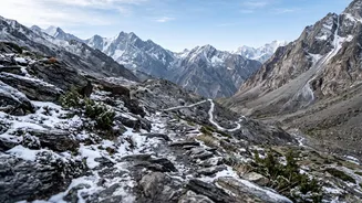 Ladakh's Snow Leopard Safari in Focus: The Conservation-and-Tourism Model Behind the Launch