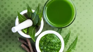 How To Protect Your Festive Balcony Flowers From Pests Using Safe Natural Neem Oil Sprays Today