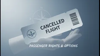 Know The Difference Between Refunds, Rebooking And Travel Assistance