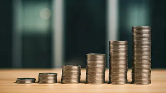 Rupee's 2025 Trajectory: A Look at RBI Support & Future Value