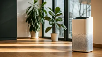 Clean Air: An Exploration of Purification