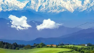 Workation Hostels In Bir Billing Offer Scenic Mountain Views And Dedicated Workspaces