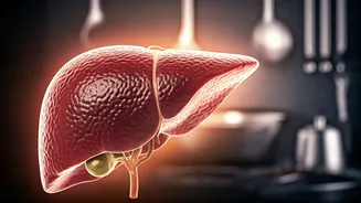 The Paradox of Home Cooking: Why Liver Disease is Spiking in Urban India