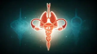 Essential Health Screenings Every Woman Needs: A Doctor's Top 3 Recommendations