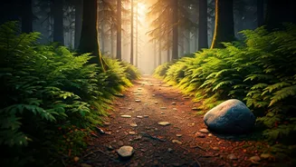 Master The Viral Mindful Run Routine Taking Over Wellness Circles