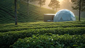 Tranquil Tea Gardens Hide Ultimate Romantic Eco Dome Escapes