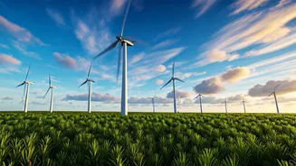 Boosting Green Energy: What India's Industry Wants